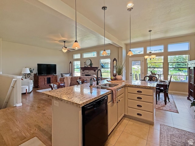 4116 N 800 W, Pleasant View, UT 84414 - kitchen with plenty of natural light, a sink, pendant lighting, and black dishwasher