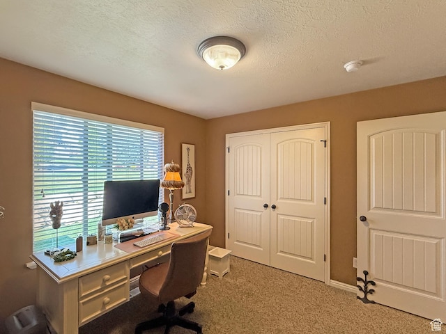 4116 N 800 W, Pleasant View, UT 84414 - home office featuring a textured ceiling and carpet