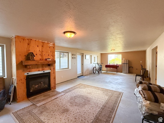 4116 N 800 W, Pleasant View, UT 84414 - living area featuring a textured ceiling, a glass covered fireplace, and a wealth of natural light