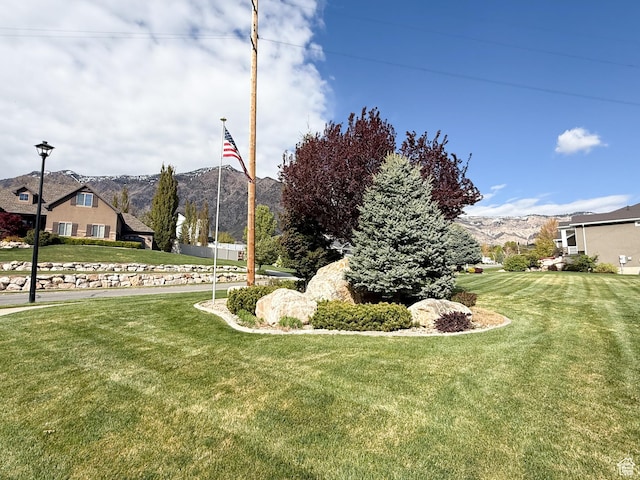 4116 N 800 W, Pleasant View, UT 84414 - view of yard with a mountain view