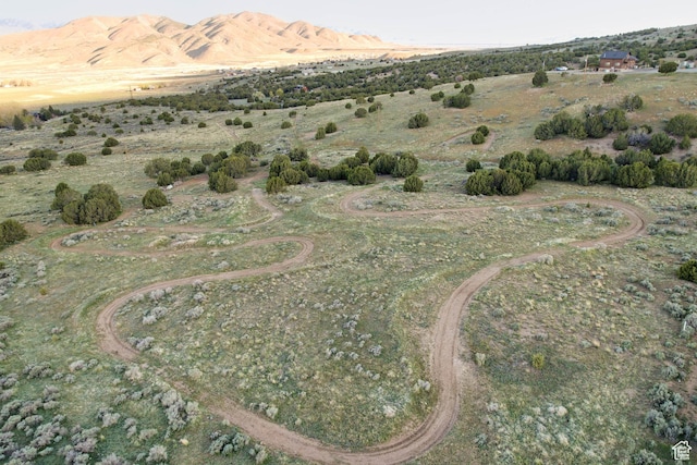 609 E 900 S, Stockton, UT 84071 - birds eye view of property with a mountain view and a rural view