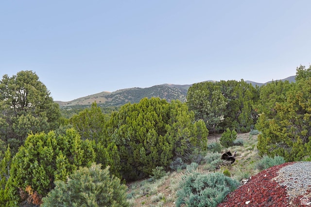 609 E 900 S, Stockton, UT 84071 - view of mountain feature with a wooded view