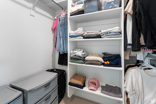 11254 S Bingham Rim Rd W, South Jordan, UT 84009 - view of walk in closet