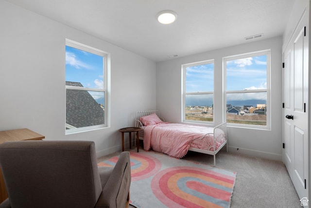 11254 S Bingham Rim Rd W, South Jordan, UT 84009 - bedroom featuring baseboards and carpet flooring