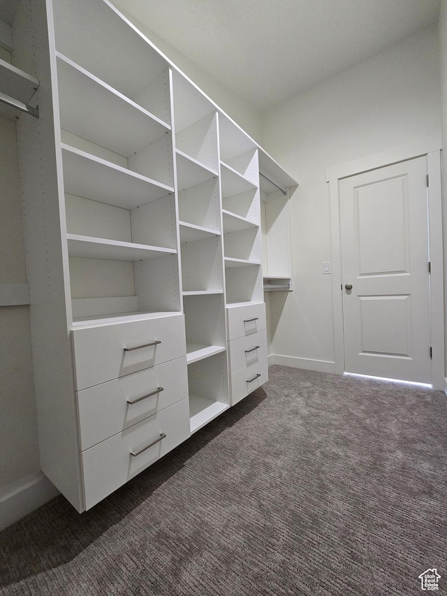 92 N 300 W, American Fork, UT 84003 - walk in closet with dark carpet