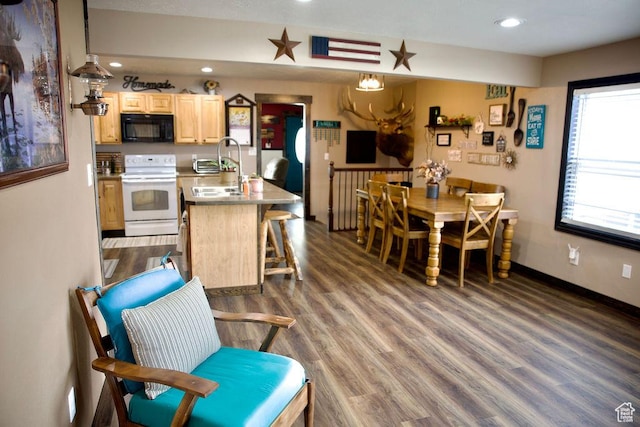 kitchen with wood finished floors, black microwave, light brown cabinets, a sink, and white electric stove