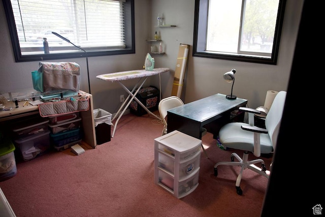 carpeted office space with a healthy amount of sunlight