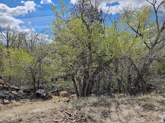 view of landscape