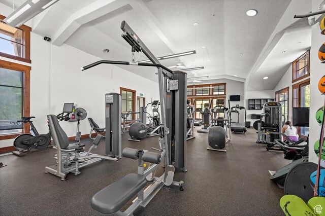 14768 S Deer Park Ln E, Draper Ut Cnty, UT 84020 - workout area with recessed lighting and lofted ceiling