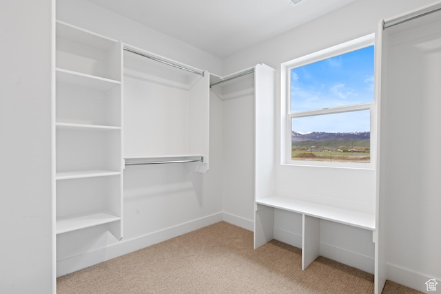 544 N 350 W Unit 7R, Morgan, UT 84050 - spacious closet featuring carpet floors