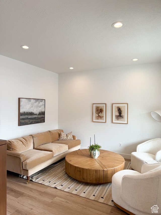 7648 S Iron Cyn Unit 341, West Jordan, UT 84081 - living area featuring recessed lighting, light wood-style floors, and baseboards
