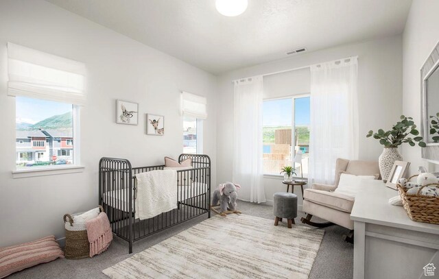 950 W Tiffany Dale Way, Bluffdale, UT 84065