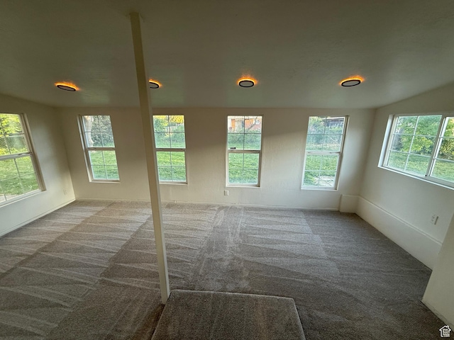 spare room featuring baseboards, a wealth of natural light, and carpet