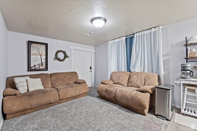2099 E Hickock Way, Eagle Mountain, UT 84005 - living area with carpet and a textured ceiling