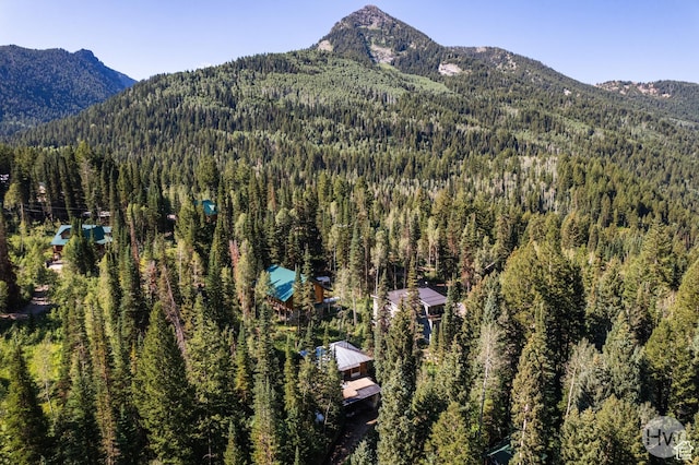 9290 E Bobcat Haven Ln S, Brighton, UT 84121