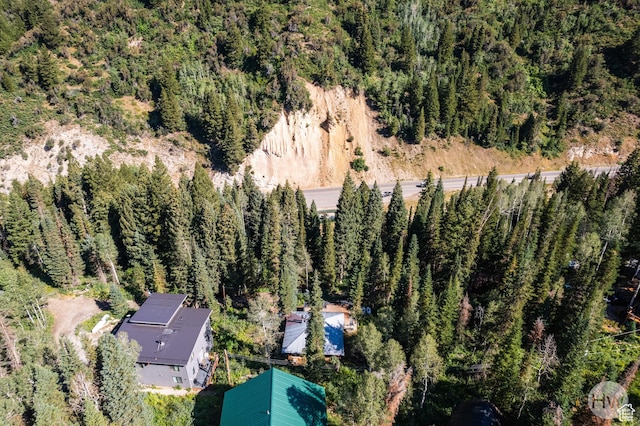 9290 E Bobcat Haven Ln S, Brighton, UT 84121
