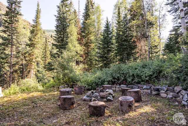 9290 E Bobcat Haven Ln S, Brighton, UT 84121