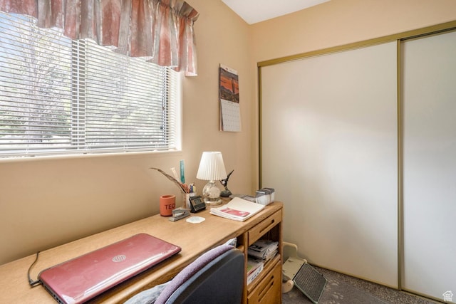 786 W Carter Dr, Pine Valley, UT 84781 - view of office