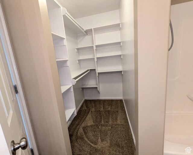 walk in closet featuring dark colored carpet