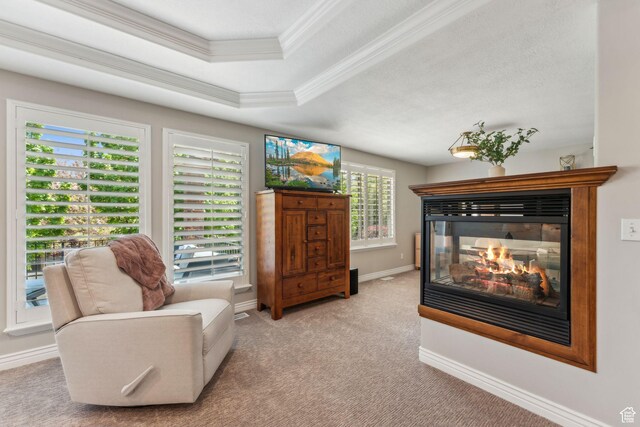 10921 S Renengade View Ln W, South Jordan, UT 84095 - living area with crown molding, carpet floors, baseboards, a raised ceiling, and a multi sided fireplace