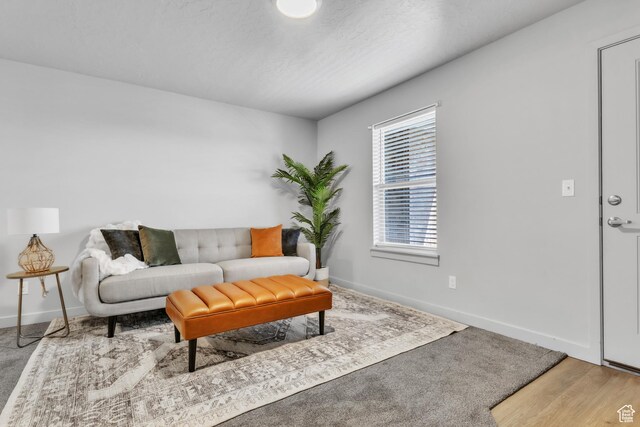 1140 W 950 N Unit E202, Orem, UT 84057 - living area featuring baseboards and carpet