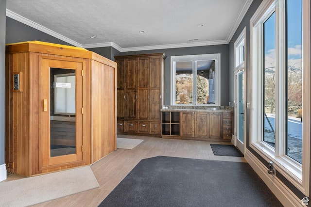 interior space featuring plenty of natural light and light wood-style floors