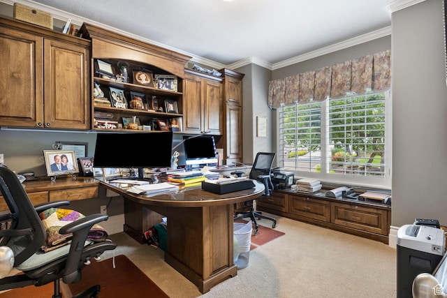 office space featuring crown molding and carpet