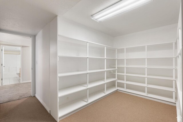 1139 Grainery Cv, Riverton, UT 84065 - view of storage