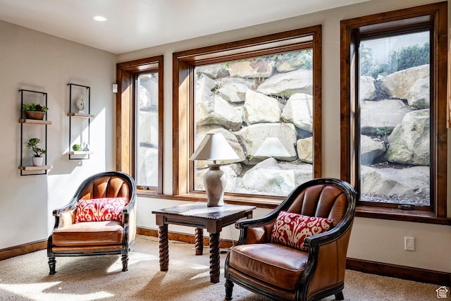 8777 S Falcon Heights Ln E, Cottonwood Heights, UT 84093 - sitting room with baseboards, plenty of natural light, and carpet flooring