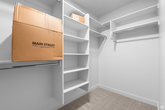 spacious closet with carpet