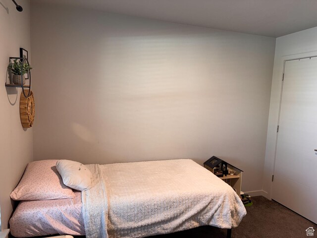 675 S 100 W Unit A203, Springville, UT 84663 - bedroom featuring carpet