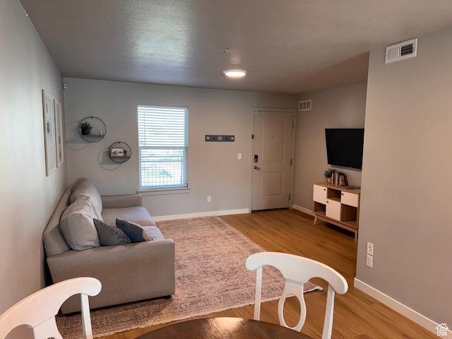 675 S 100 W Unit A203, Springville, UT 84663 - living room with light wood-style floors, baseboards, and visible vents