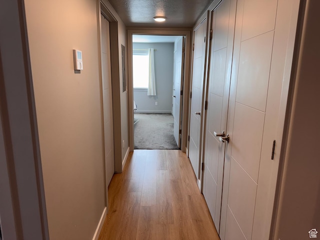 675 S 100 W Unit A203, Springville, UT 84663 - corridor with baseboards, a textured ceiling, and light wood finished floors