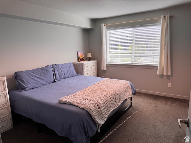 675 S 100 W Unit A203, Springville, UT 84663 - bedroom with baseboards and carpet flooring