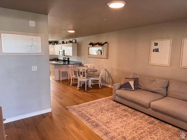 675 S 100 W Unit A203, Springville, UT 84663 - living area featuring baseboards and wood finished floors