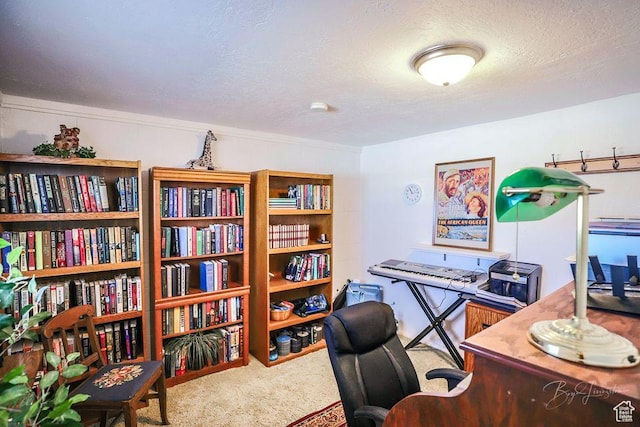 carpeted home office featuring a textured ceiling