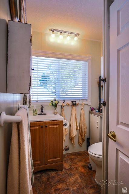 bathroom with toilet and stone finish flooring