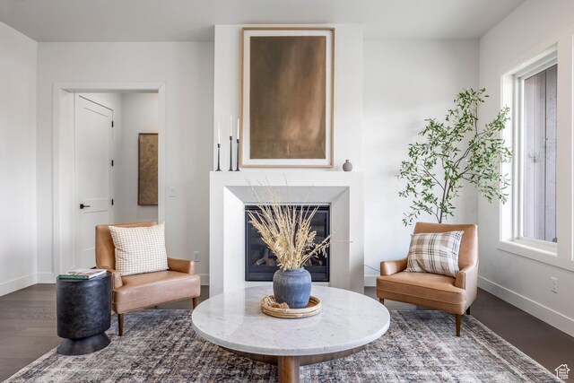 359 N Abajo Peak Loop E Unit A3, Heber City, UT 84032 - sitting room with baseboards, a high end fireplace, and wood finished floors