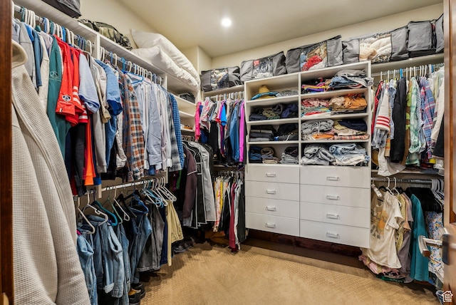 2042 Paddington Dr, Park City, UT 84060 - spacious closet with carpet flooring
