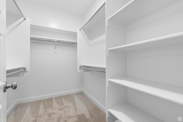 674 W Junegrass Ln, Stansbury Park, UT 84074 - walk in closet with carpet