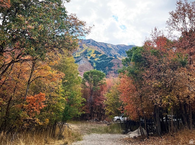 86 W Lakeview Way, Woodland Hills, UT 84653