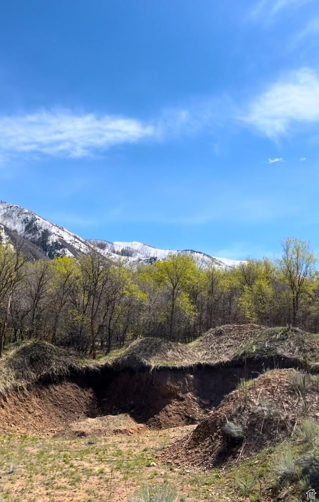 86 W Lakeview Way, Woodland Hills, UT 84653