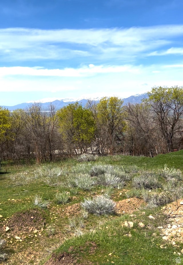 86 W Lakeview Way, Woodland Hills, UT 84653