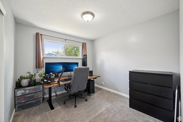 293 E Valley View Dr, Tooele, UT 84074 - office space with baseboards, carpet flooring, and a textured ceiling