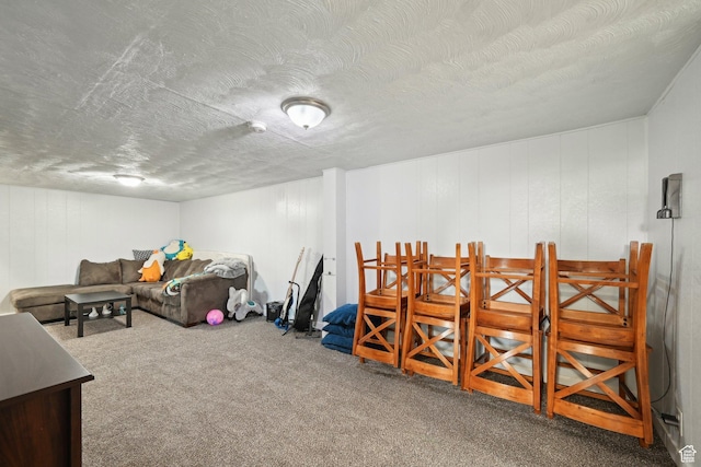293 E Valley View Dr, Tooele, UT 84074 - interior space with carpet floors and a textured ceiling