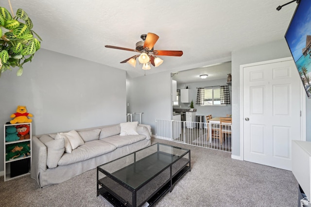 293 E Valley View Dr, Tooele, UT 84074 - carpeted living area featuring a ceiling fan and a textured ceiling