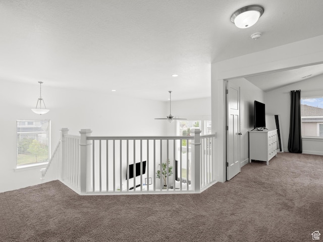 4928 W Eiffel Way, Riverton, UT 84096 - hall with carpet floors, an upstairs landing, and plenty of natural light