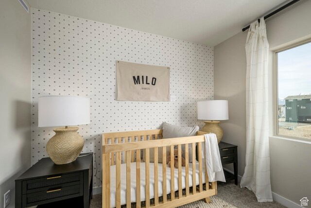 141 N Gallery St, Saratoga Springs, UT 84045 - carpeted bedroom with baseboards