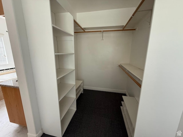598 W 1620 S, Lehi, UT 84043 - spacious closet with carpet floors