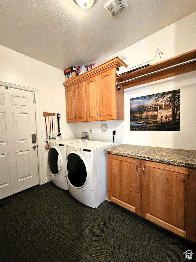 598 W 1620 S, Lehi, UT 84043 - washroom with cabinet space, dark colored carpet, and washing machine and clothes dryer